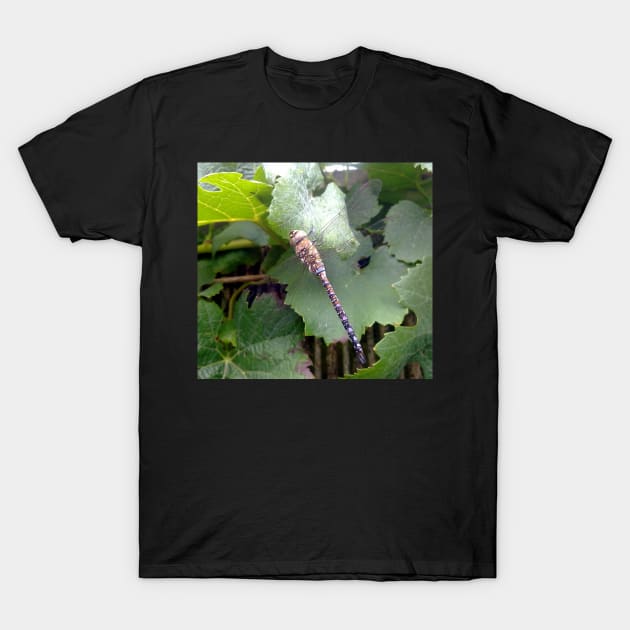 Dragonfly T-Shirt by robelf